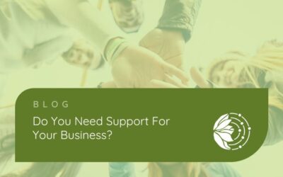 Do you need support for your business?