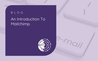 An introduction to Mailchimp