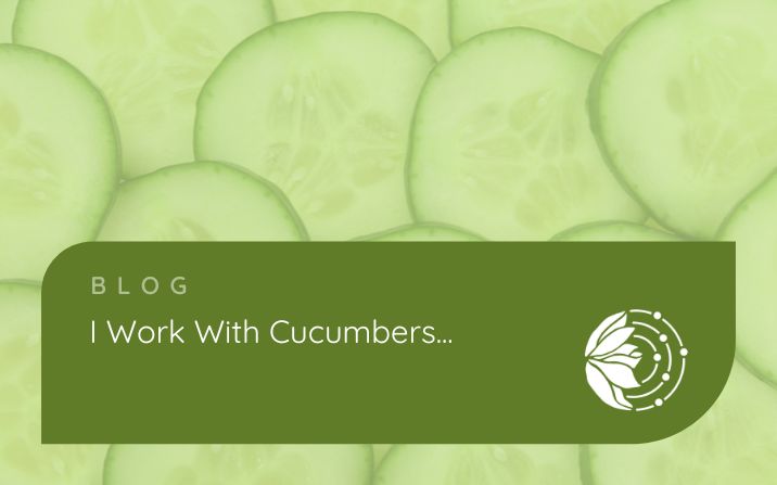 I work with cucumbers…