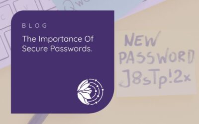 The importance of secure passwords