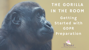Picture of a gorilla with text on the right hand side that says The Gorilla in the Room – Getting Started with GDPR Preparation