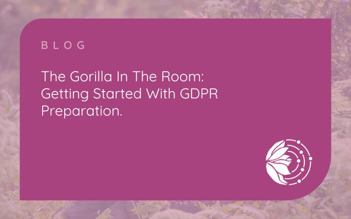 The Gorilla in the Room – Getting Started with GDPR Preparation