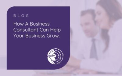 4 Reasons You Should Hire A Business Consultant For Your Small Business
