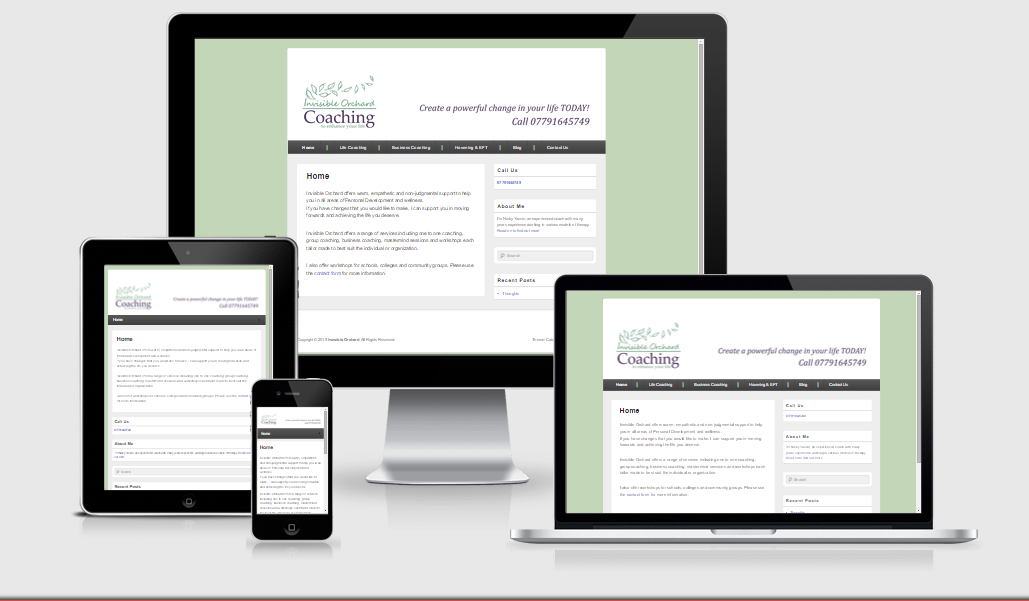 A snapshot image of the Invisible Orchard Coaching Website on handover in 2015