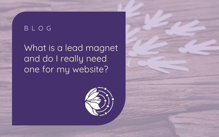 What Is A Lead Magnet And Do I Really Need One For My Website?