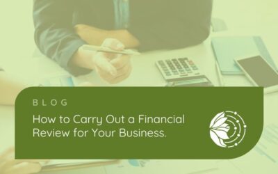 How to Carry Out a Financial Review for Your Business