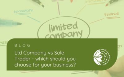 Ltd. Company vs Sole Trader – which should you choose for your business?