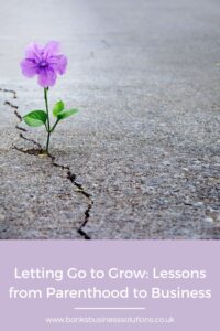 Why letting go and outsourcing is crucial for small business success - picture of a cracked pavement with a purple flower growing up from the crack