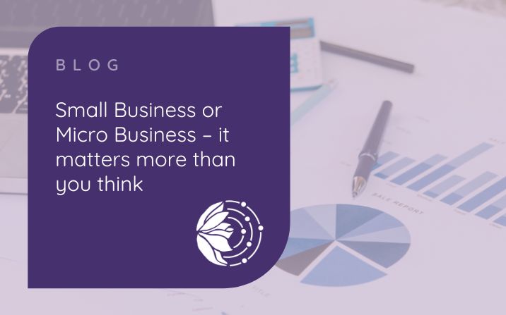 Small Business or Micro Business – it matters more than you think - picture of spreadsheets and a calculator