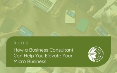 Delegate to Elevate: The Strategic Impact of Hiring a Business Consultant