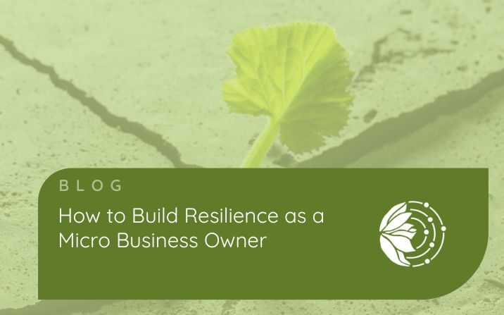 How to Build Resilience as a Micro Business Owner - Picture of a weed growing in concrete