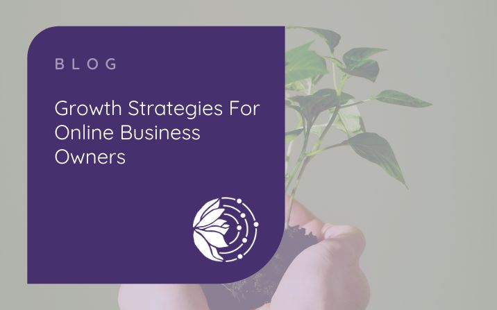 Growth Strategies For Online Business Owners - Picture of a plant in someone's hand