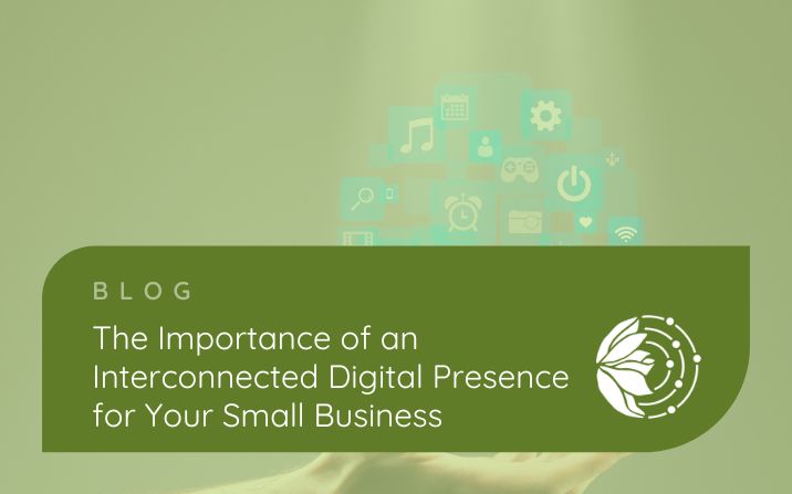 Why Your Online Presence is Like a Spider’s Web